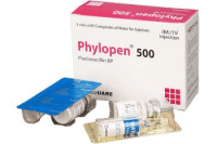 Phylopen 500 IM/IV Injection